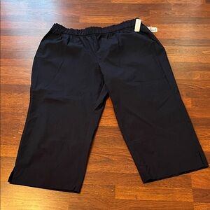 Lane Bryant Pull-On Wide Leg Soft Pants